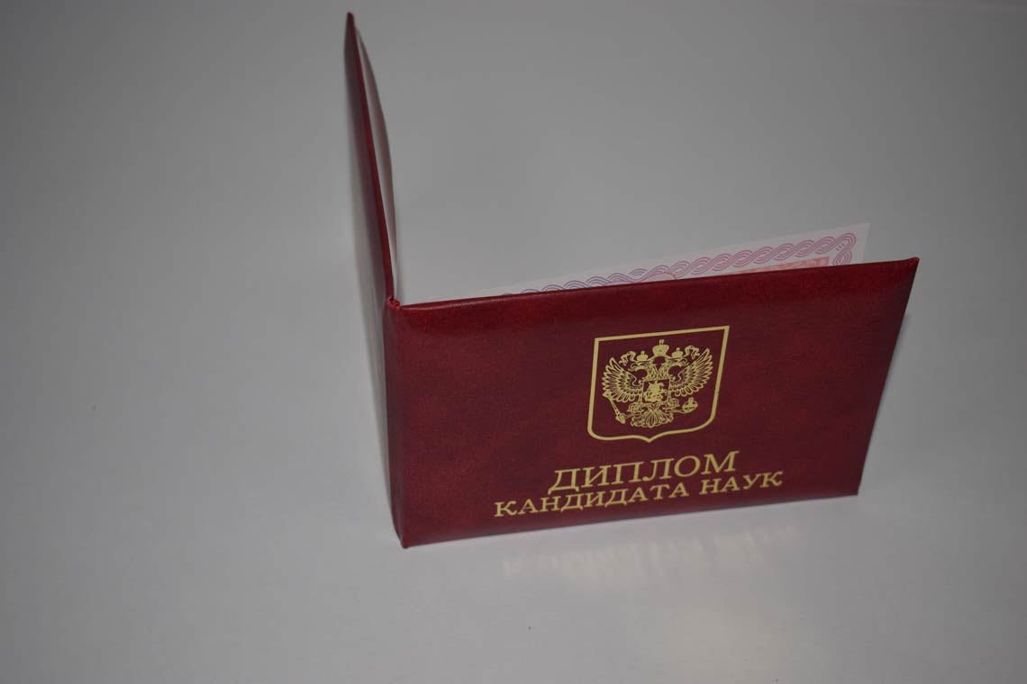 Диплом Кандидата Наук 2013-2016 в Москве корка
