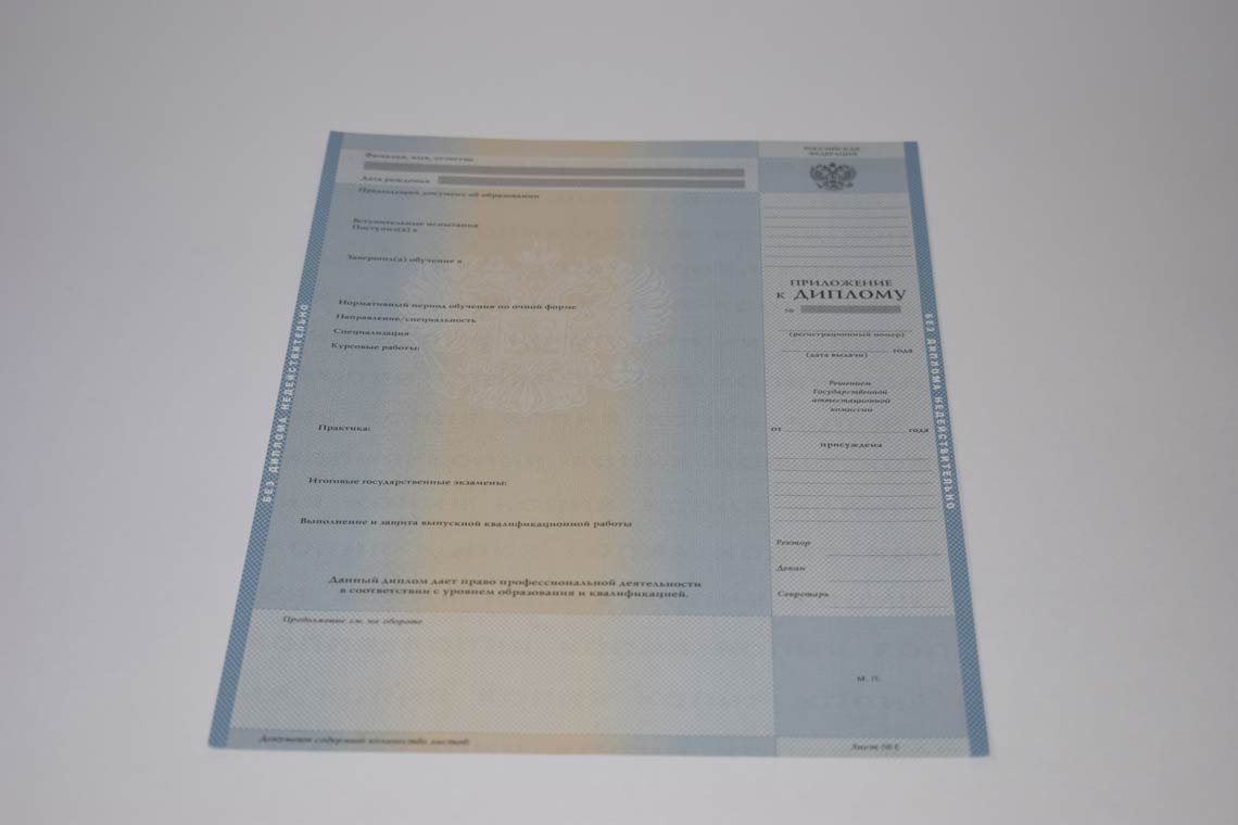 Диплом Магистра с 2003-2008 в Москве приложение